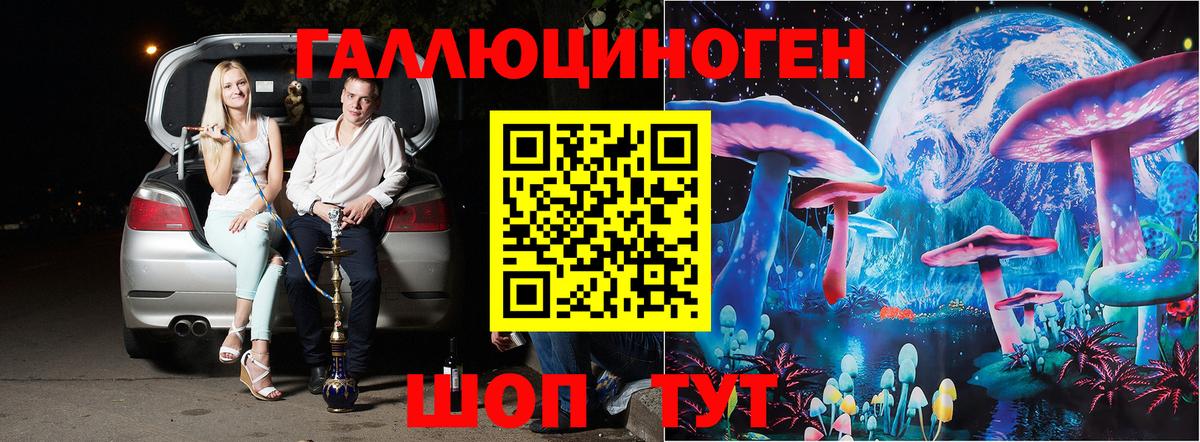 Зеленодольск  Псилоцибиновые грибы Psilocybine cubensis  что такое   Вход с VPN 