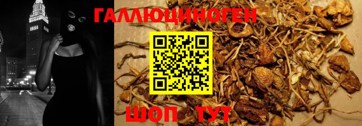 Псилоцибиновые грибы Magic Shrooms Зеленодольск